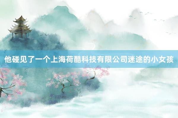 他碰见了一个上海荷酷科技有限公司迷途的小女孩