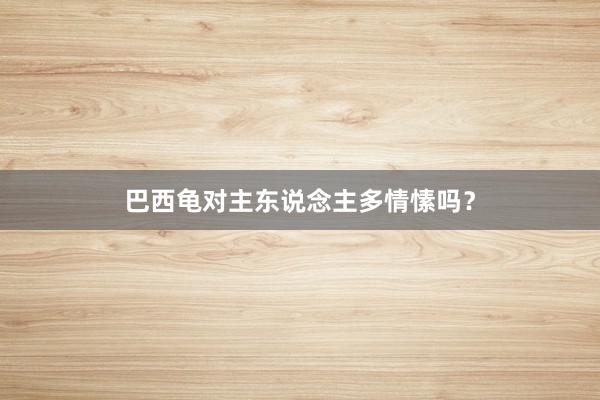 巴西龟对主东说念主多情愫吗？